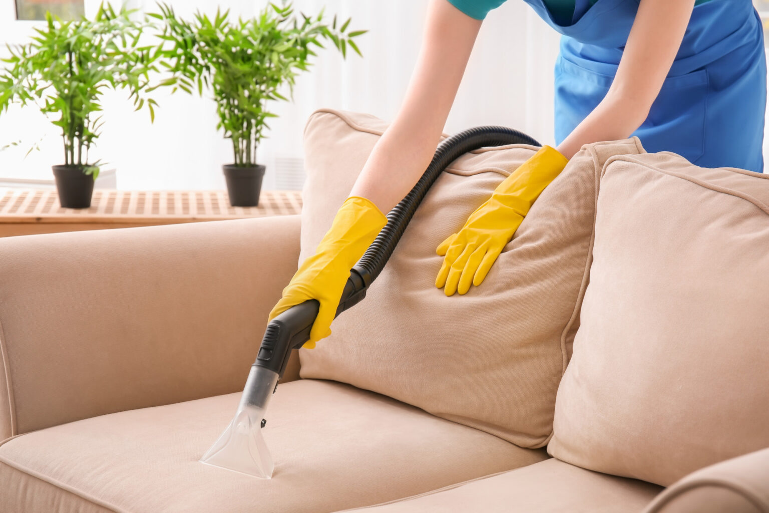 Woman cleaning couch with vacuum cleaner at home