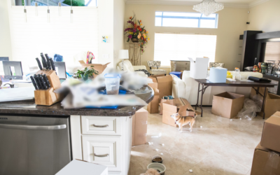 Top 3 Risks of a Dirty Home