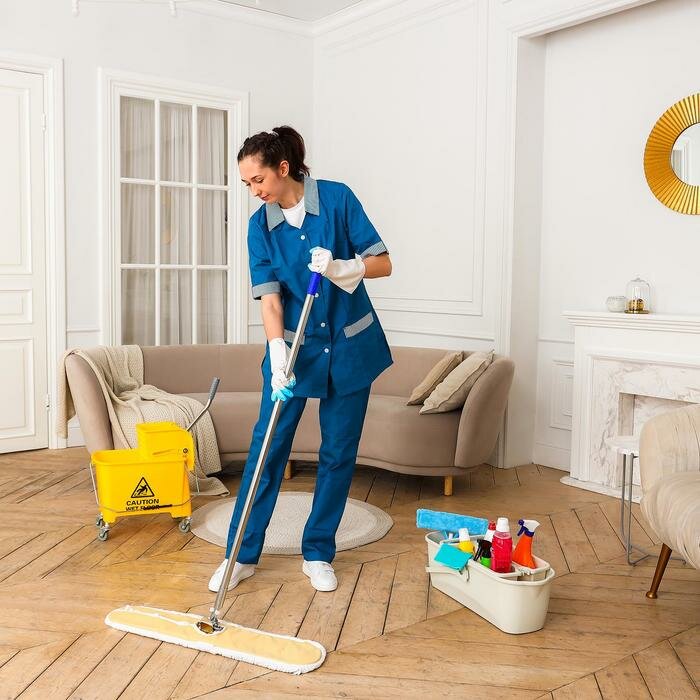 Cleaning Service (2)