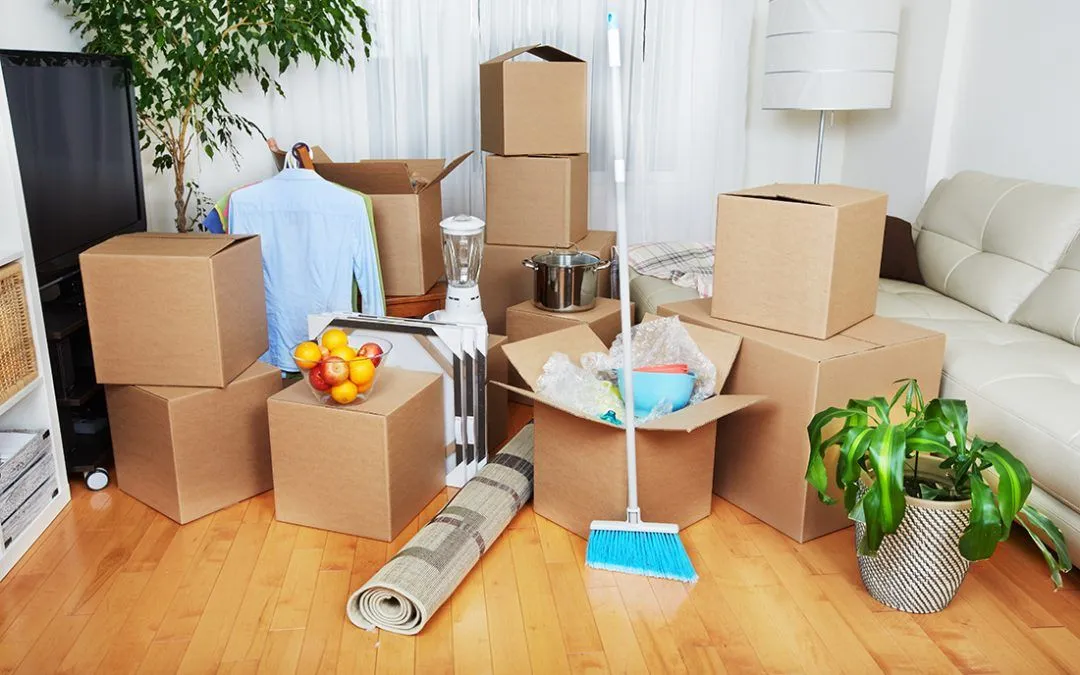 Move-In Move-Out Cleaning Services