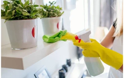 Top 5 Secrets to Clean Home Fast In Mission Viejo