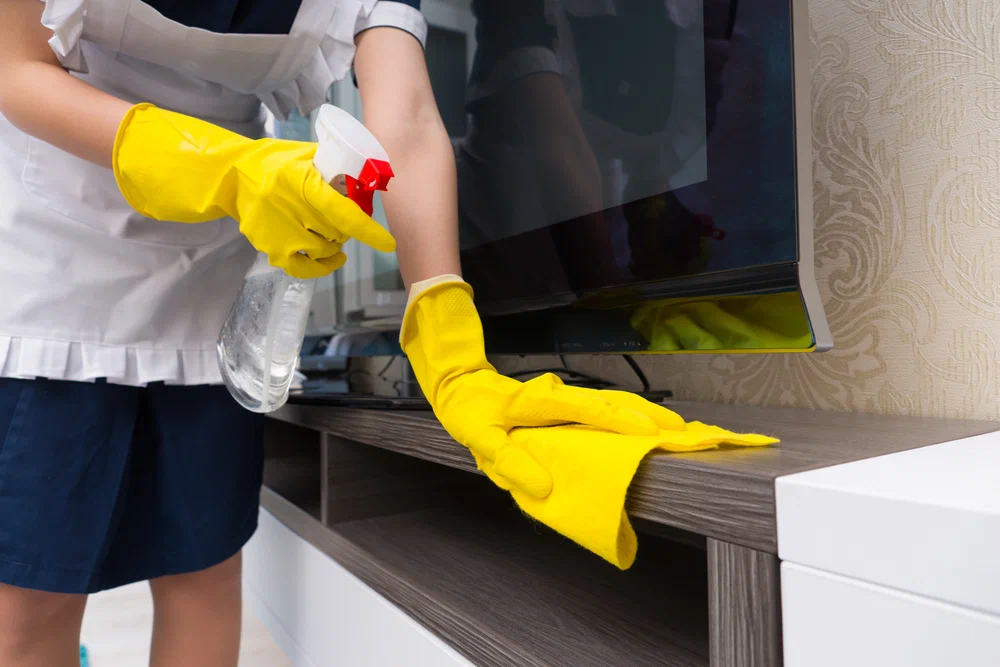 Mission Viejo Maids Services