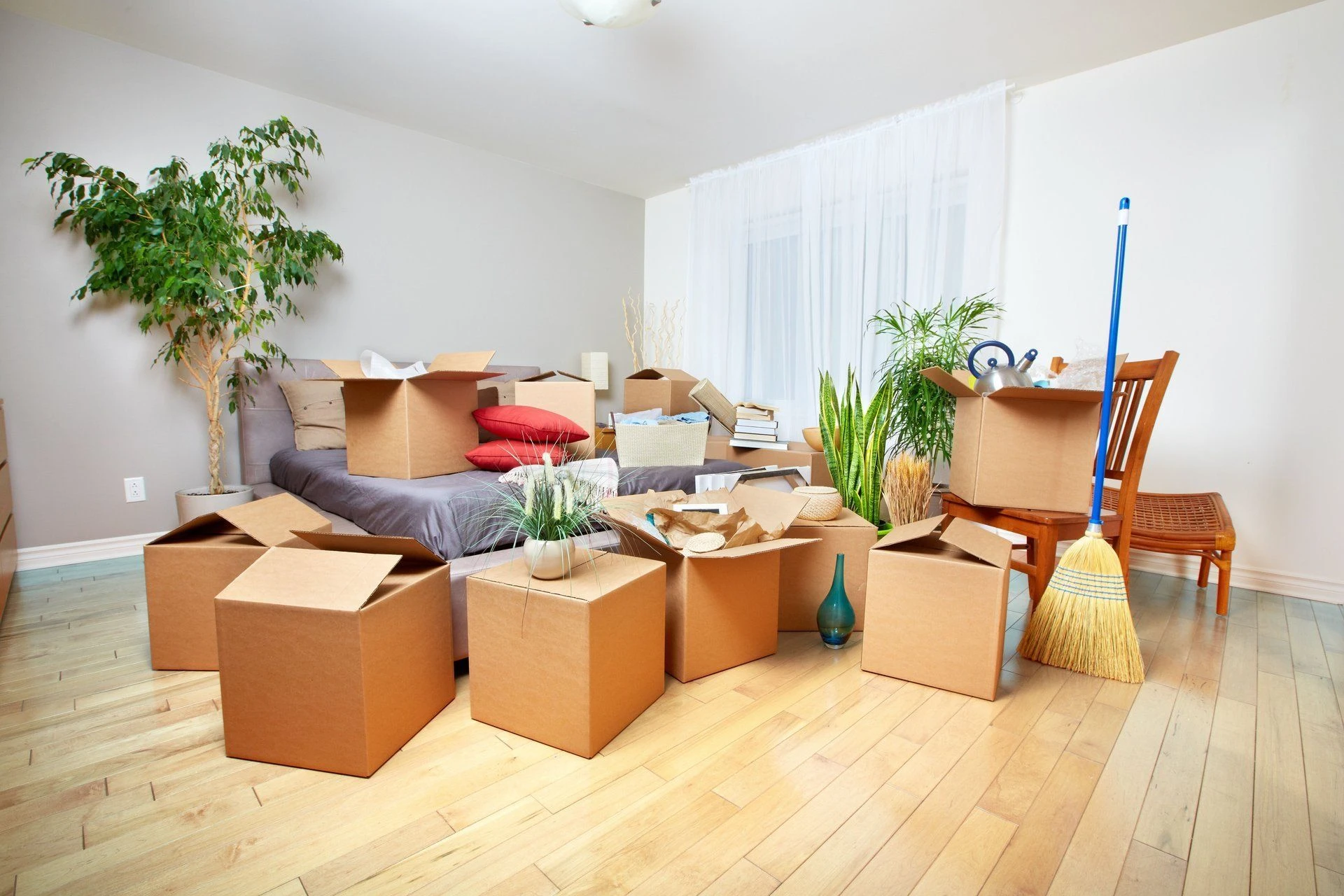 A Move-in and Move-out Cleaning Service generally includes the following A Move-in and Move-out Cleaning Service generally includes the following