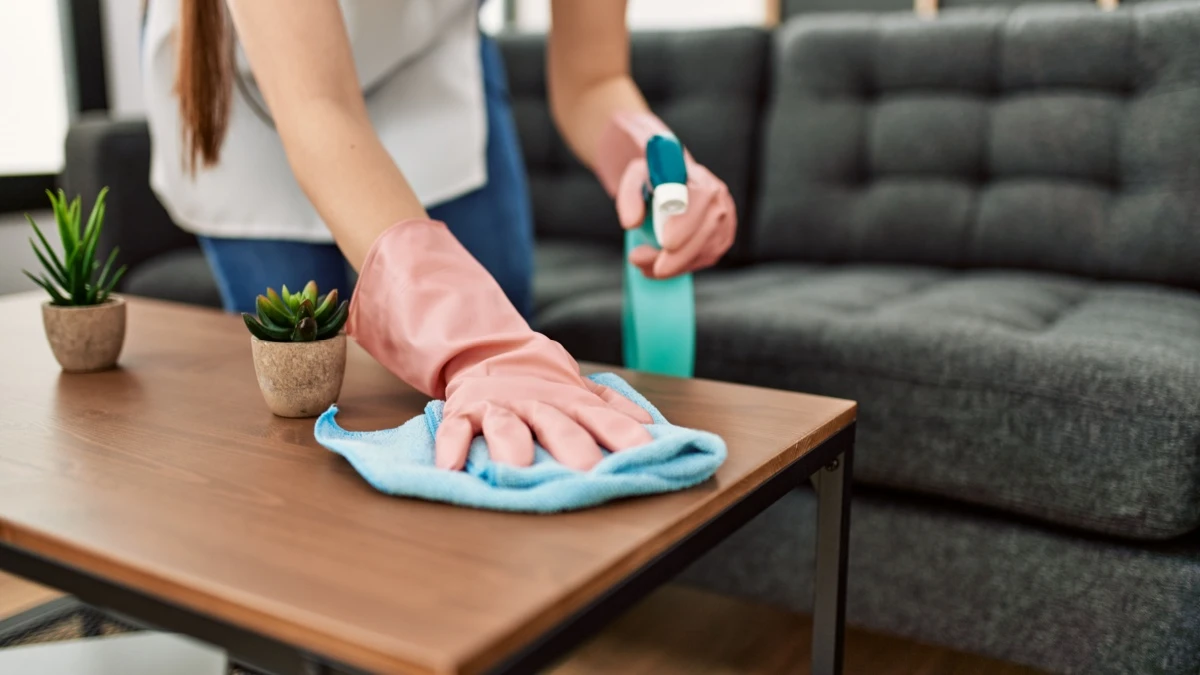 Verify Licensing, Insurance, and Background Checks